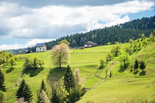 Zelena brda i šume u okolini