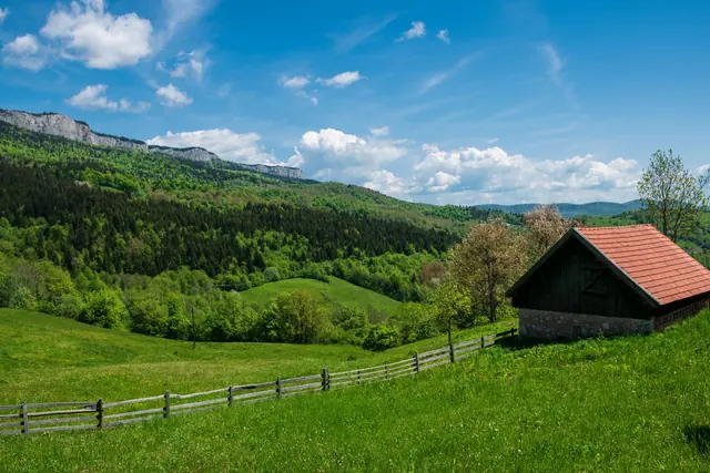 Livade i šume, priroda na dohvat ruke